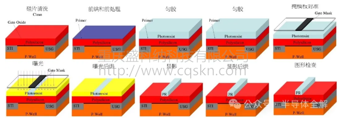 环球·体育