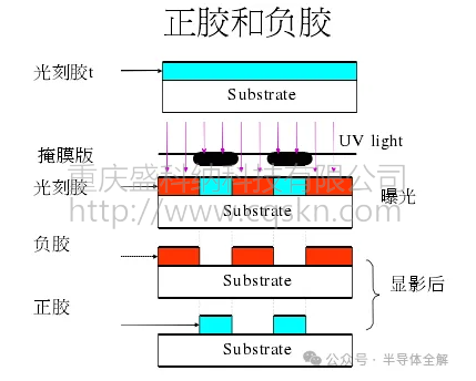 环球·体育